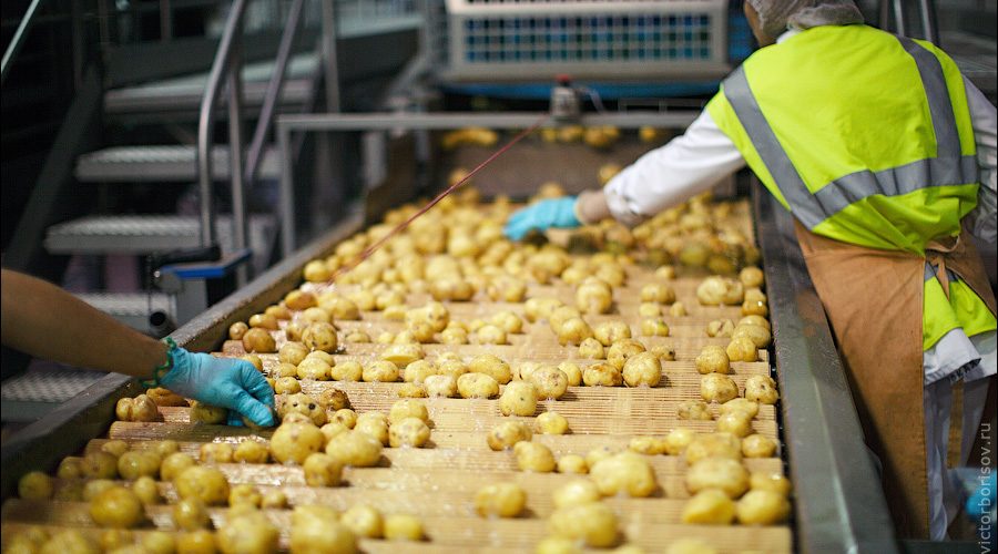 مهم ترین نکات تولید خلال سیب زمینی نیمه آماده منجمد در کارخانه