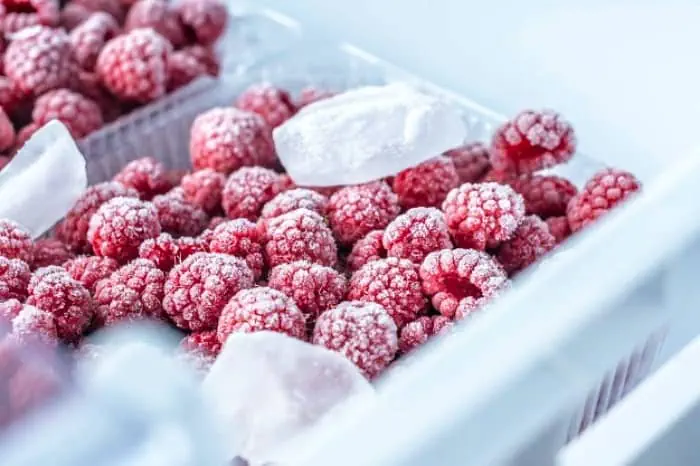 تاریخچه انجماد مواد غذایی